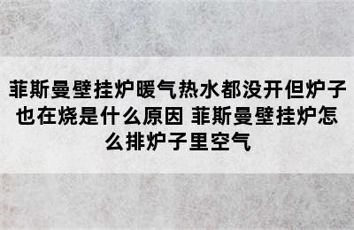 菲斯曼壁挂炉暖气热水都没开但炉子也在烧是什么原因 菲斯曼壁挂炉怎么排炉子里空气